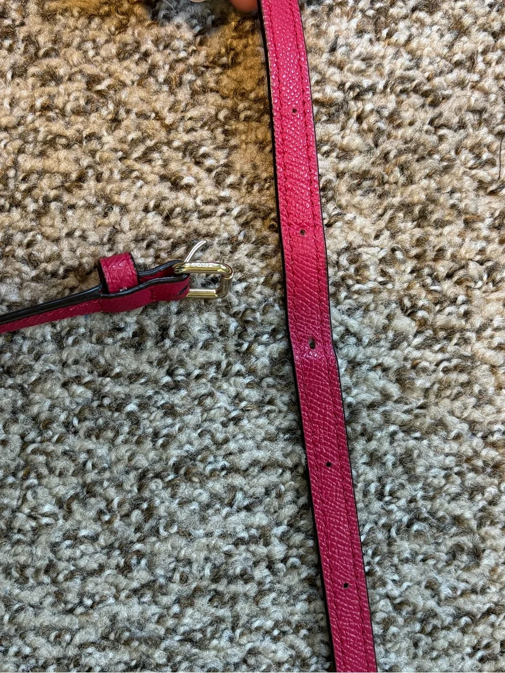 Coach Pink Crossbody Bag
